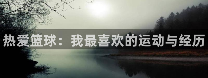 海南凯发官网下载:热爱篮球:我最喜欢的运动与经历