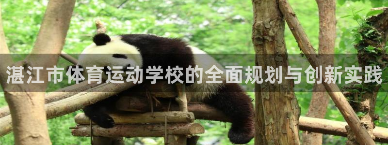 凯发官方正版app集团logo:湛江市体育运动学校的全面规划