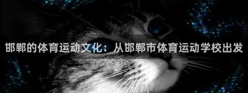 注册凯发官方正版app:邯郸的体育运动文化:从邯郸市体育运动