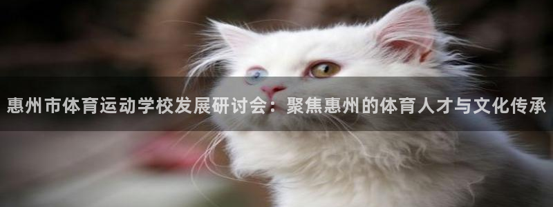 凯发官方正版app代理:惠州市体育运动学校发展研讨会:聚焦惠